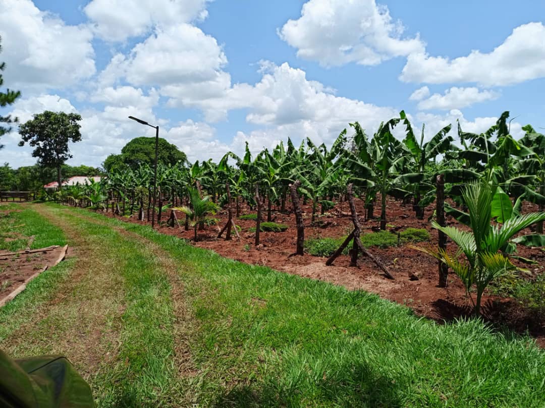 WhatsApp Image 2025 11 20 At 11.00.00 AM